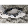 BRACELET HOMME / LABRADORITE / LOUP